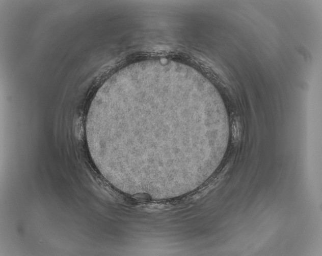 X0000110981204200907310942