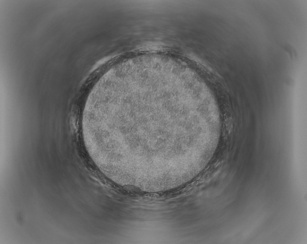 X0000110981206200907310942