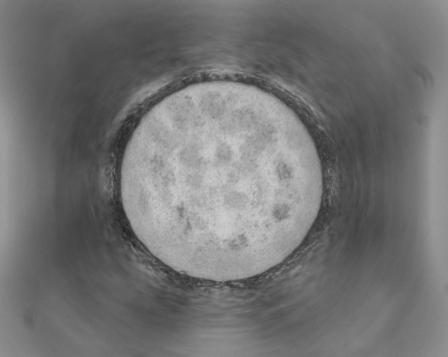 X0000110981207200907310942