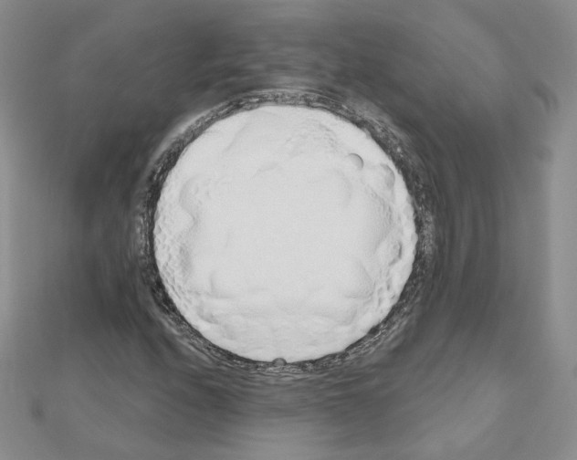 X0000110981208200907310942
