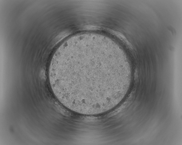 X0000110981209200907310942