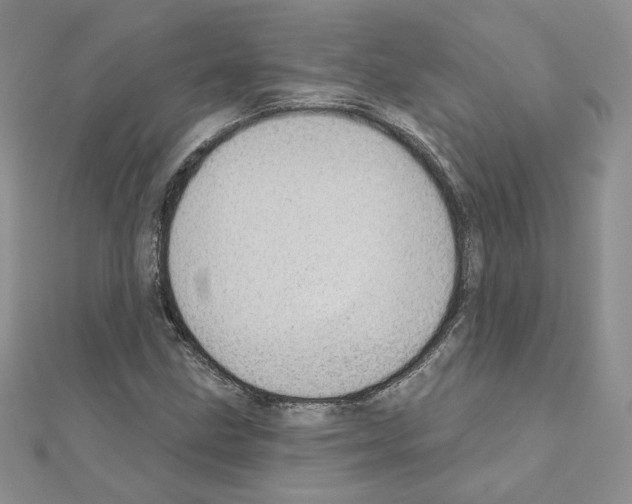 X0000110981211200907310942