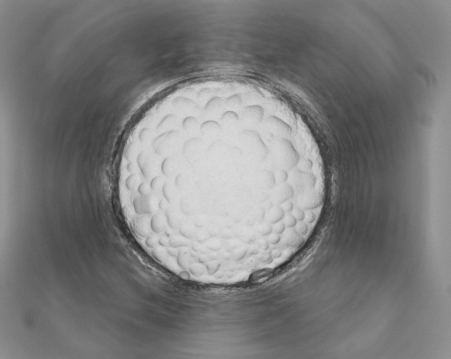 X0000110981212200907310942