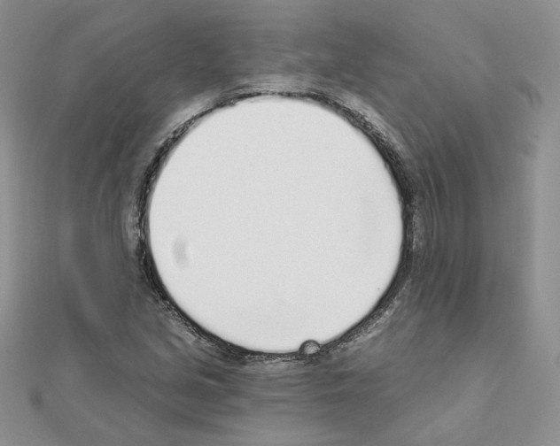 X0000110981213200907310942