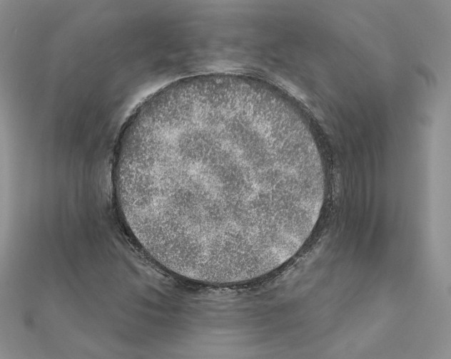 X0000110981214200907310943