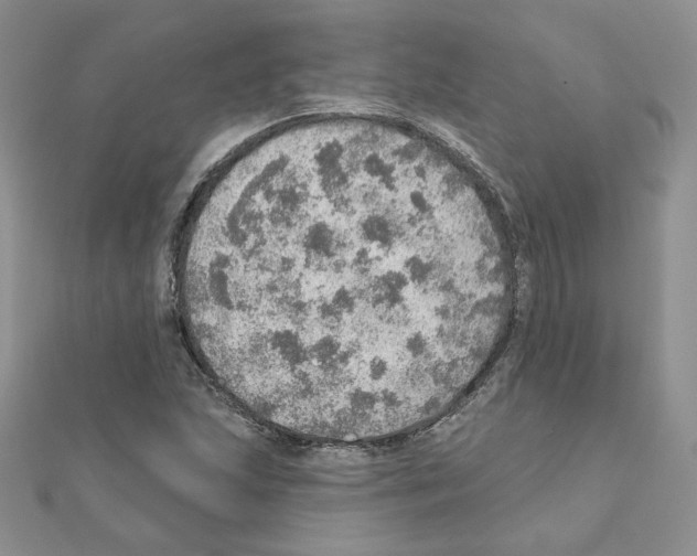 X0000110981215200907310943