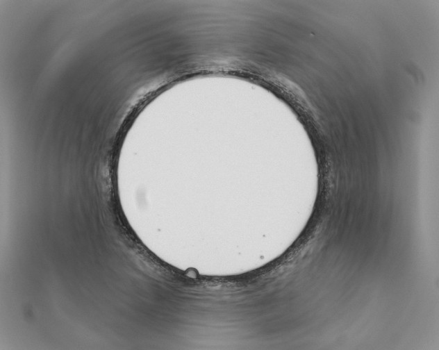 X0000110981218200907310943