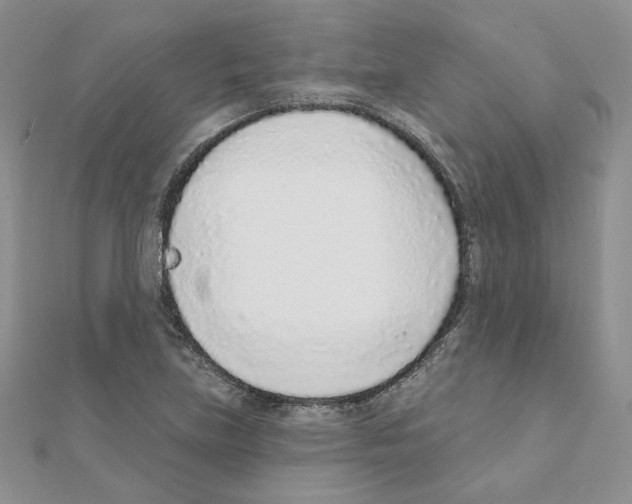 X0000110981219200907310943