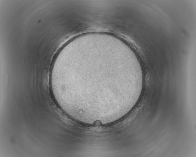 X0000110981220200907310943