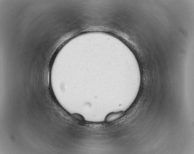 X0000110981221200907310943