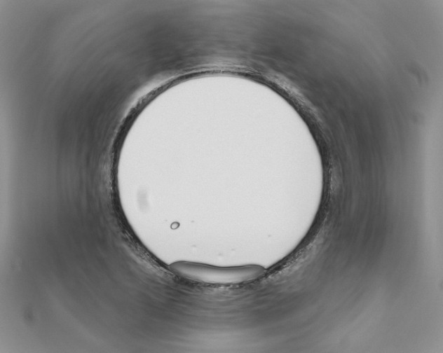 X0000110981222200907310943