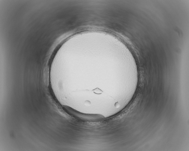 X0000110981223200907310943
