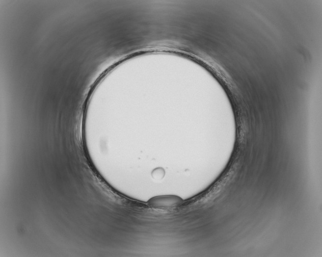 X0000110981224200907310943