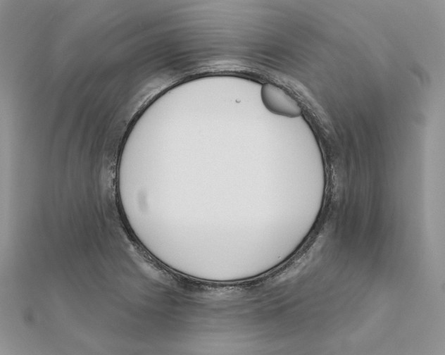 X0000110981225200907310943