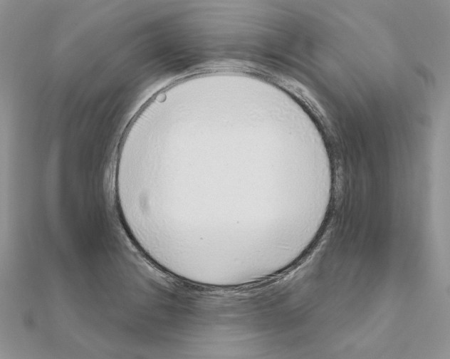 X0000110981228200907310943