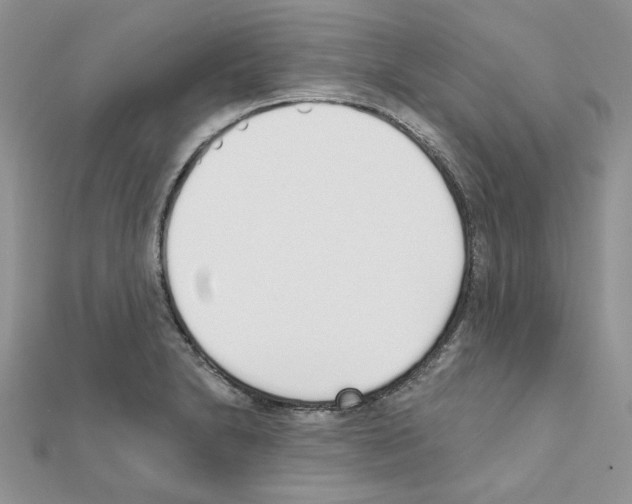 X0000110981230200907310943