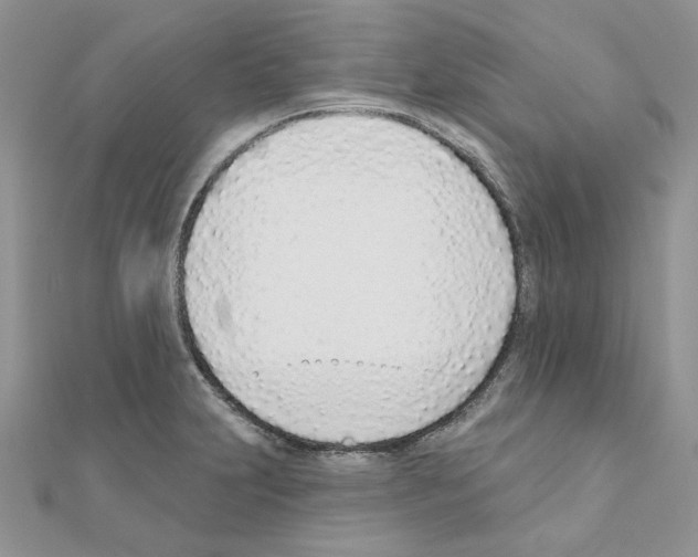 X0000110981231200907310943