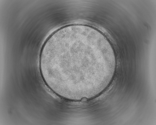 X0000110981232200907310943