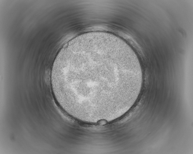 X0000110981233200907310943