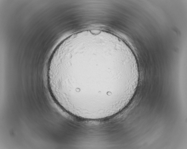 X0000110981235200907310943