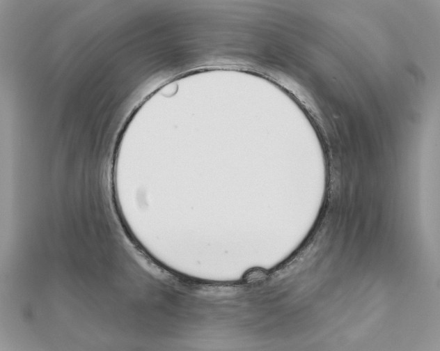 X0000110981237200907310943