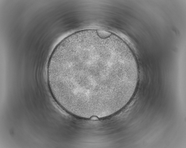 X0000110981238200907310943