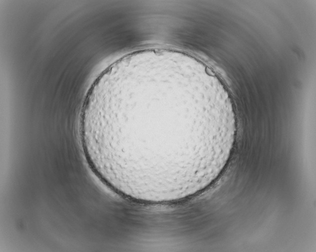 X0000110981239200907310943