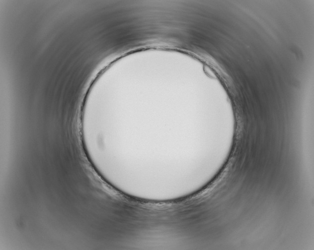 X0000110981240200907310943
