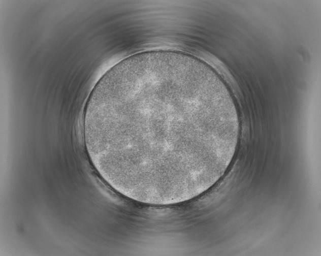X0000110981242200907310943
