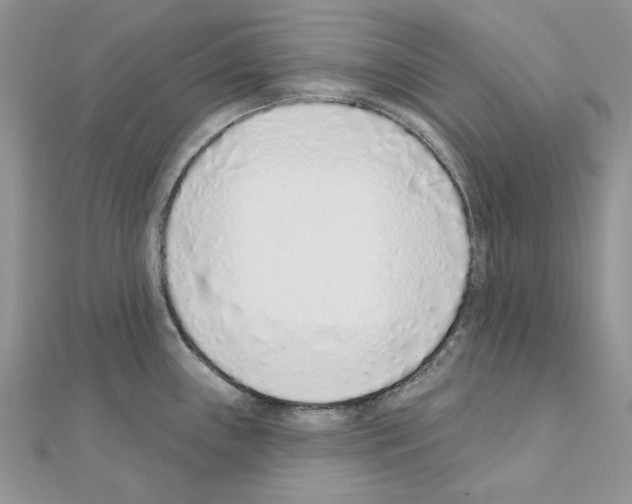 X0000110981243200907310943