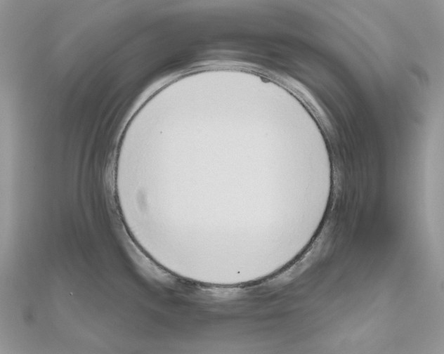 X0000110981244200907310943