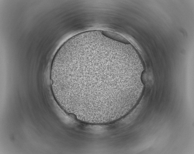 X0000110981246200907310943