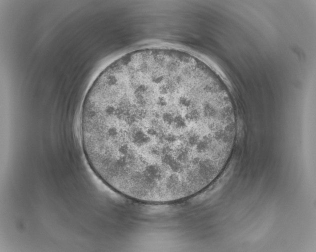 X0000110981247200907310943