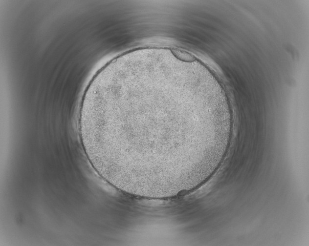 X0000110981248200907310943