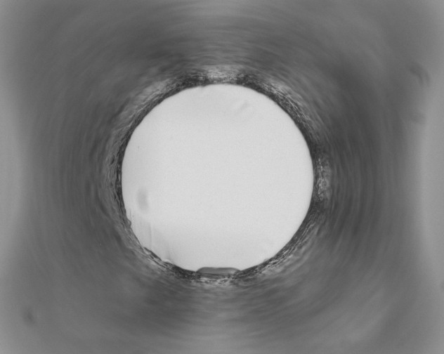 X0000110981249200907310942