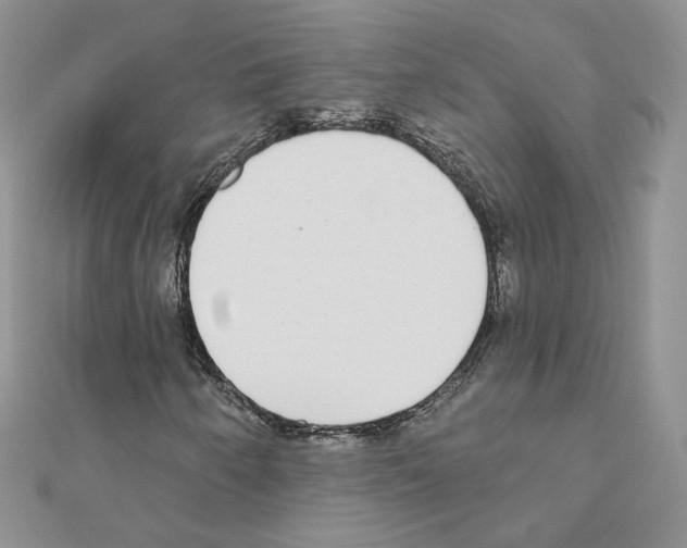 X0000110981250200907310942
