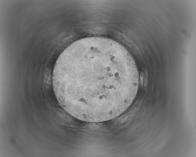 X0000110981251200907310942