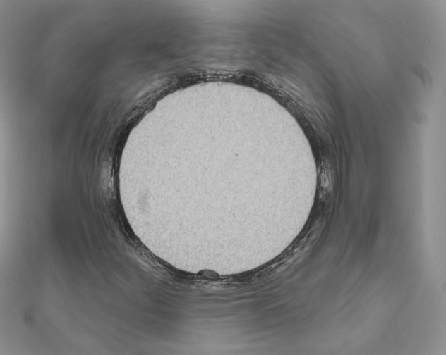 X0000110981252200907310942
