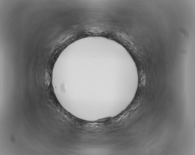 X0000110981253200907310942