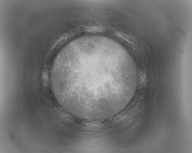 X0000110981254200907310942