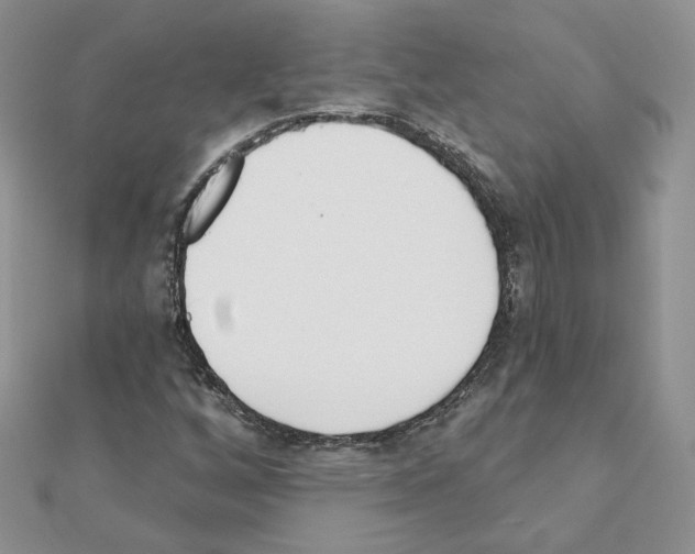 X0000110981256200907310942