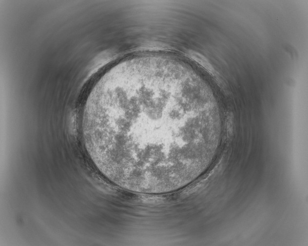 X0000110981258200907310942