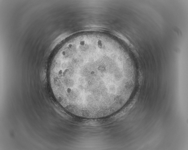X0000110981259200907310942