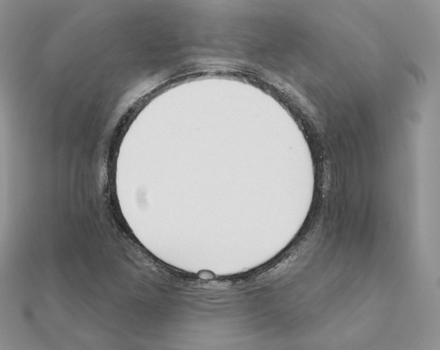 X0000110981261200907310942