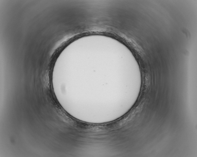 X0000110981262200907310942