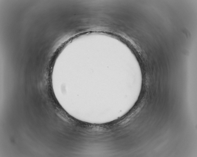 X0000110981263200907310942