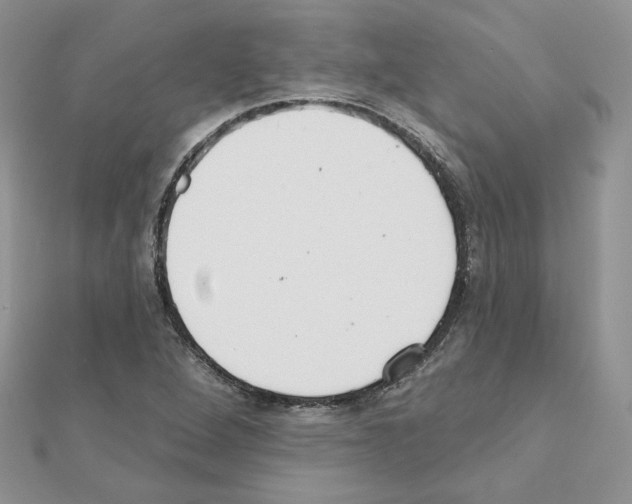 X0000110981264200907310942