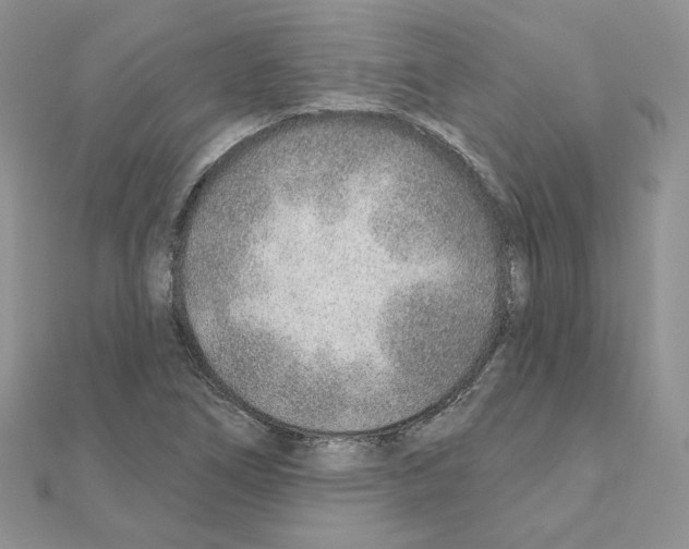 X0000110981266200907310942