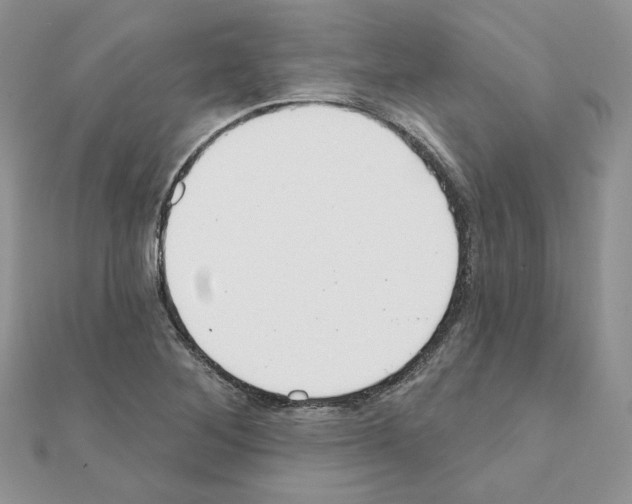 X0000110981268200907310942
