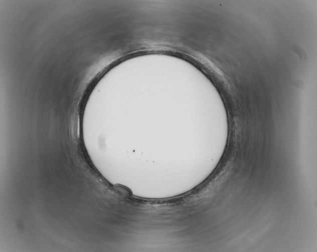 X0000110981269200907310942